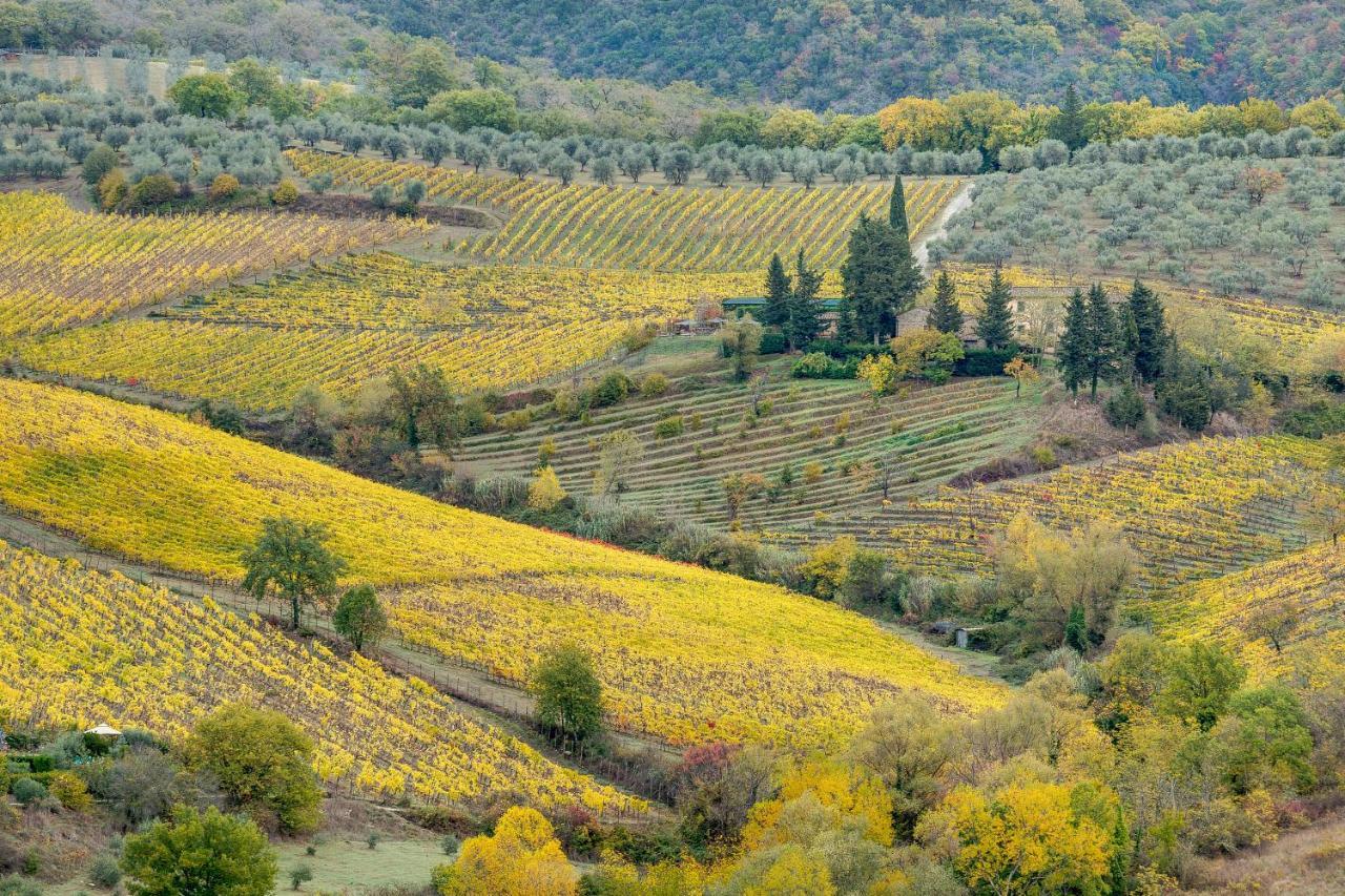 Terre Di Baccio Bed & Breakfast Greve in Chianti Bagian luar foto