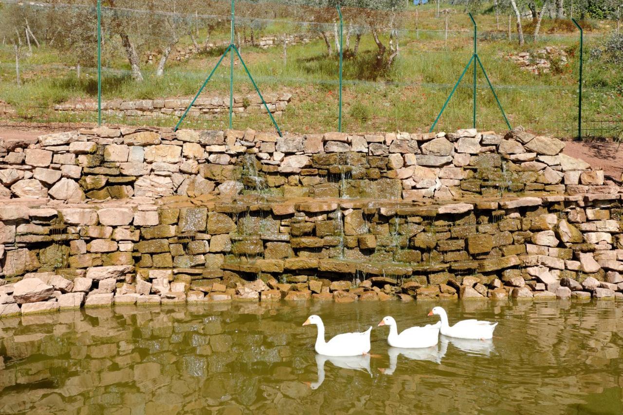 Terre Di Baccio Bed & Breakfast Greve in Chianti Bagian luar foto