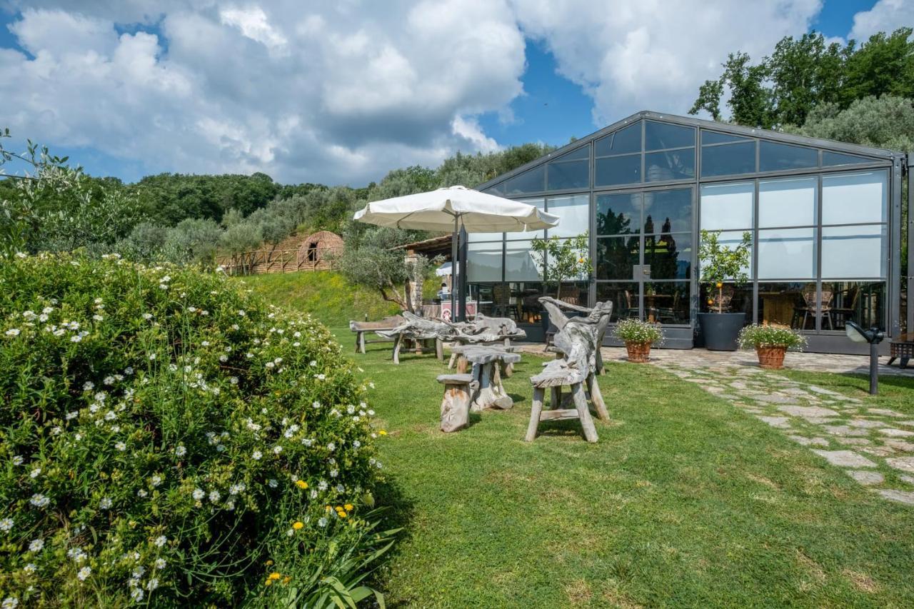 Terre Di Baccio Bed & Breakfast Greve in Chianti Bagian luar foto