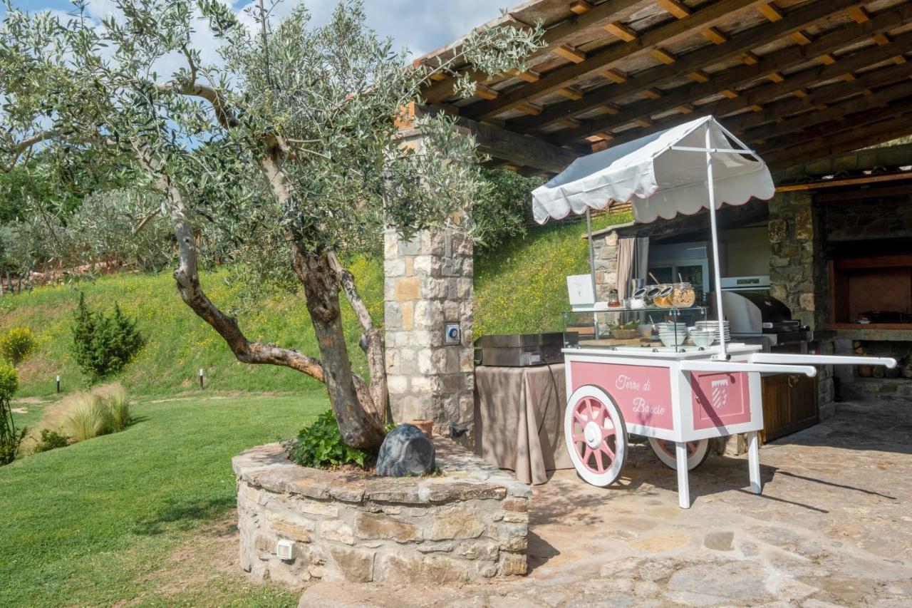 Terre Di Baccio Bed & Breakfast Greve in Chianti Bagian luar foto